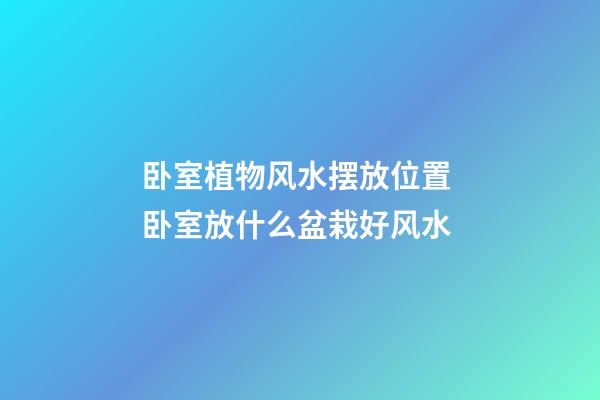 卧室植物风水摆放位置 卧室放什么盆栽好风水